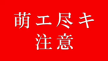 化物語 ループ率66%