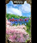 カバネリ海門決戦 サブ液晶背景：桜背景