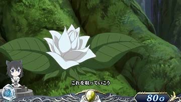 白告知